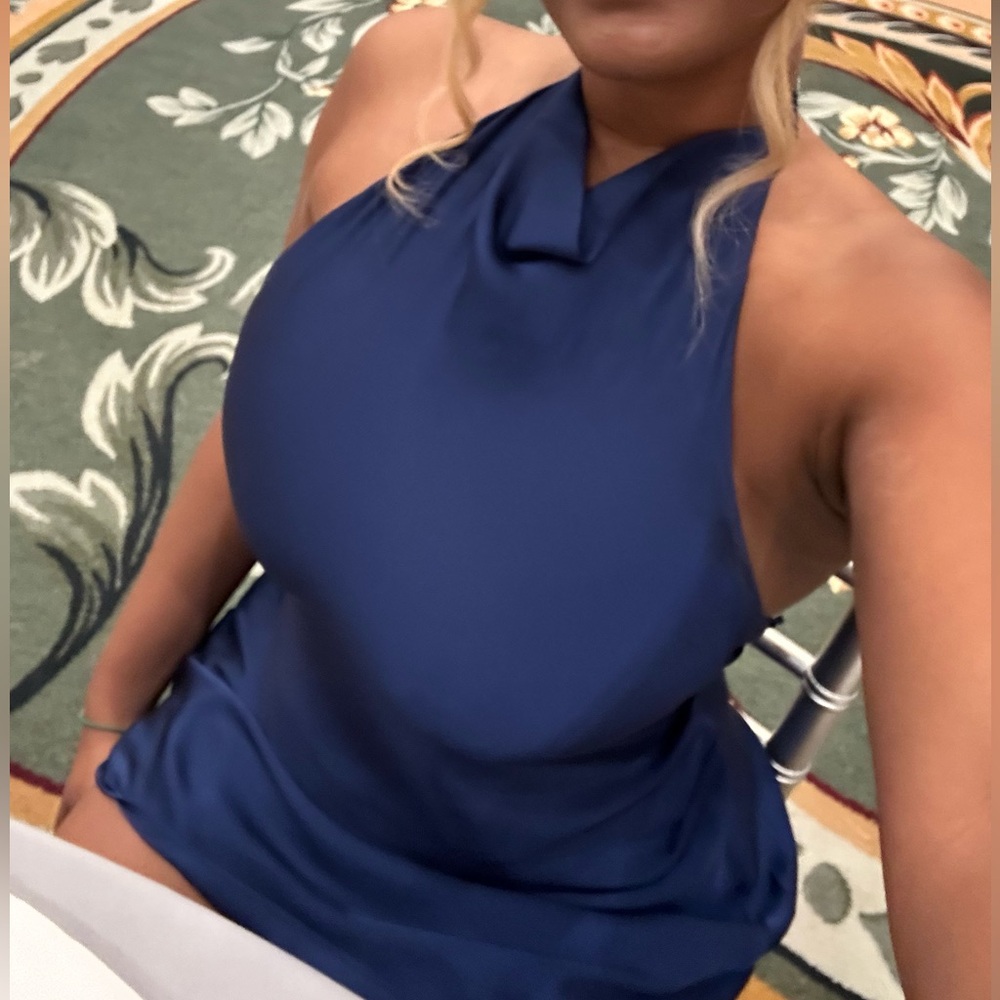 Aritzia Navy Backless Dress